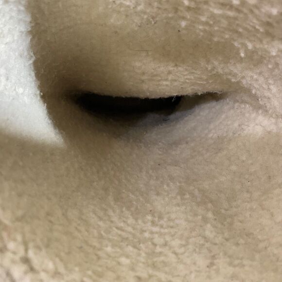 Juicy Couture AOP Suede Mid Calf tall Boots women’s Size 8.5 Brown - Picture 12 of 14